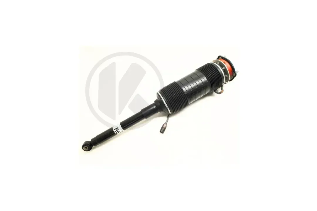 a2223206613 b   shock absorber